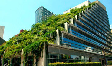 PROQUICESA edificio con naturaleza